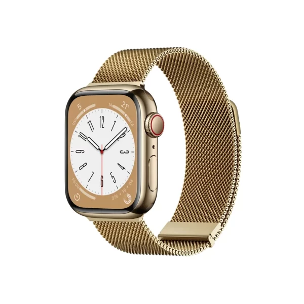 Wiwu Wi-WB005 Braid Magnetic Watchband